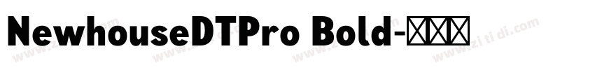 NewhouseDTPro Bold字体转换